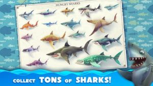 Hungry Shark World MOD APK V5.1.0 Download [Unlimited Money, MOD Unlocked] Updated 2023 2