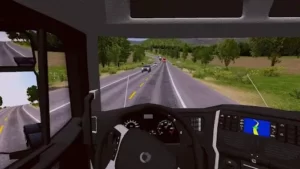 World Truck Driving Simulator MOD 3